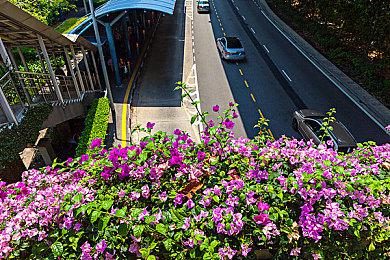 Steam热门游戏：潜水员戴夫 DAVE THE DIVER下载以及低价购买教程